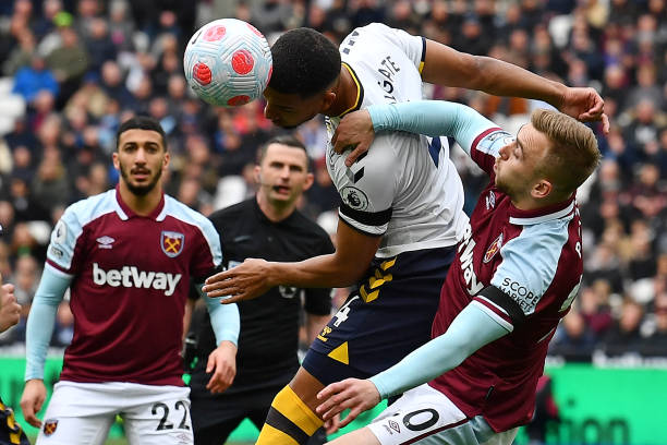 场上的明星 场上的明星